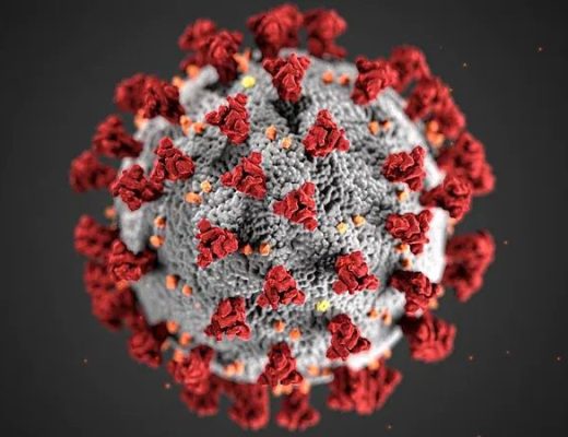 epidemia