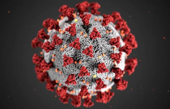 epidemia